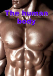 The human body (Az emberi test)