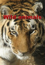Wild animals (Vadon élo állatok)