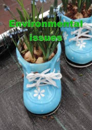 Environmental issues  Környezetvédelmi kérdések